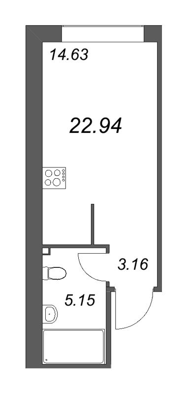 Планировка: Студия, 24 м², 16 817 182 ₽
