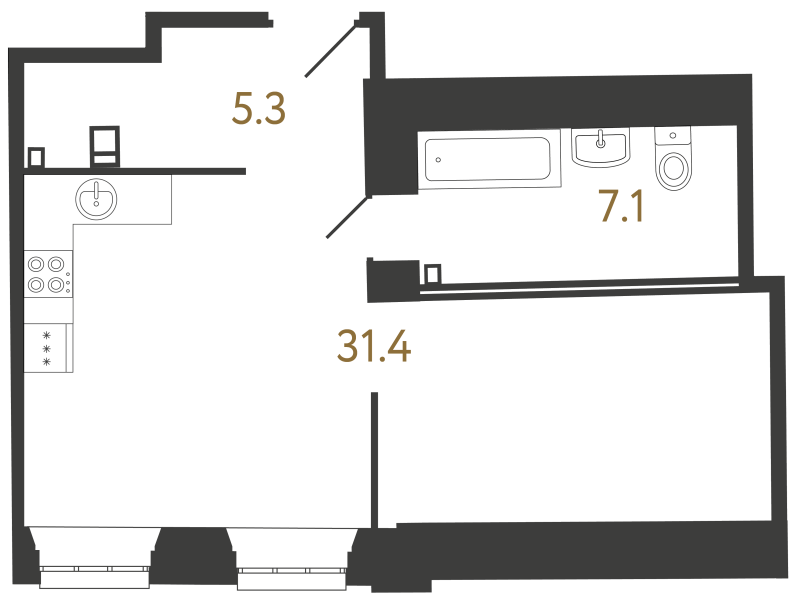Планировка: Студия, 43,8 м², 24 002 464 ₽