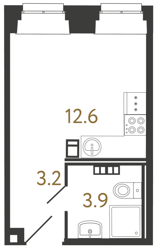 Планировка: Студия, 19,7 м², 15 048 946 ₽