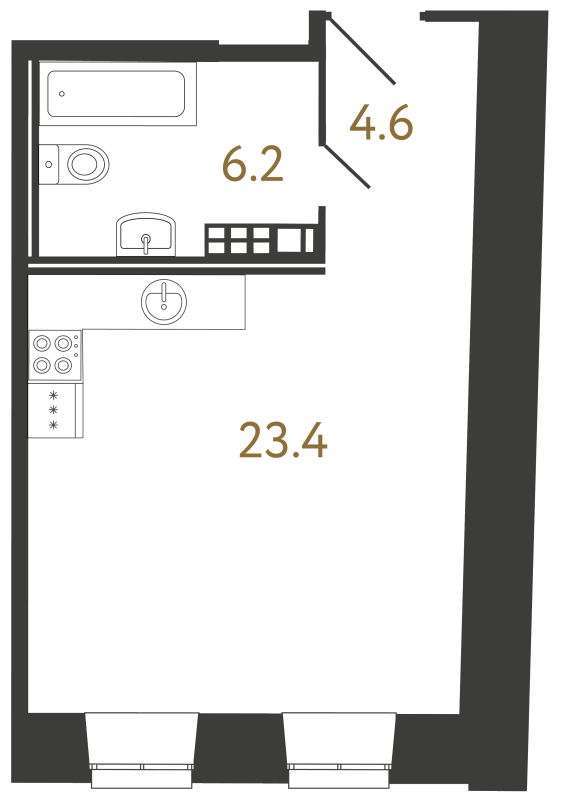 Планировка: Студия, 34,2 м², 24 789 793 ₽