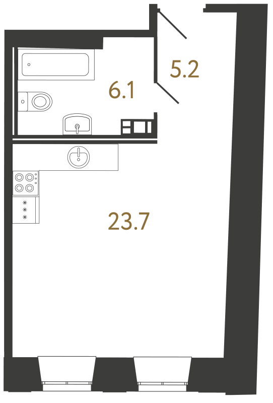 Планировка: Студия, 35 м², 21 954 524 ₽